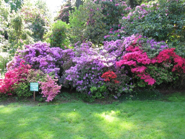Aiuole piene di fiori - foto Bruno Ioriatti