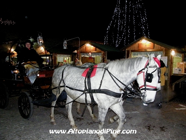Mercatino di Natale 2009 - El paes dei Presepi 2009