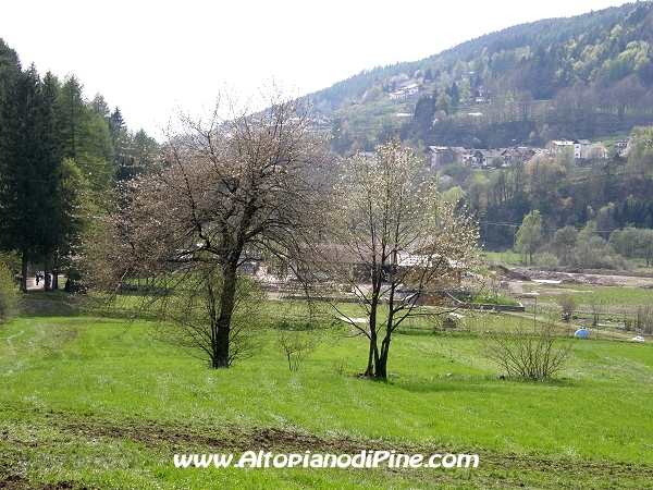 Paesaggio primaverile dell'Altopiano di Piné