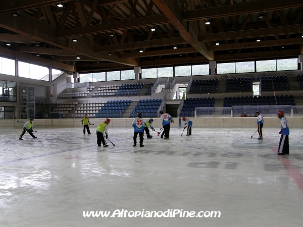 Broomball 2010