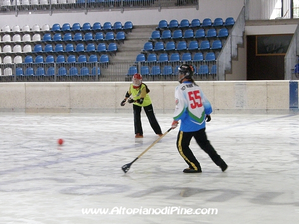 Broomball 2010