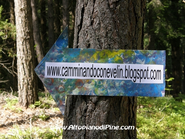 Uno dei cartelli che indicavano il percorso - Camminando con Evelin