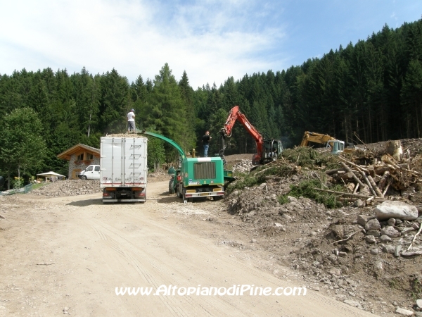 Riduzione in trucioli di radici e rami d'alberi