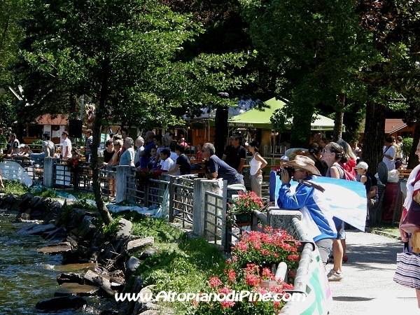 Pubblico presente al Dragon Festival 2010 - Baselga di Pine'
