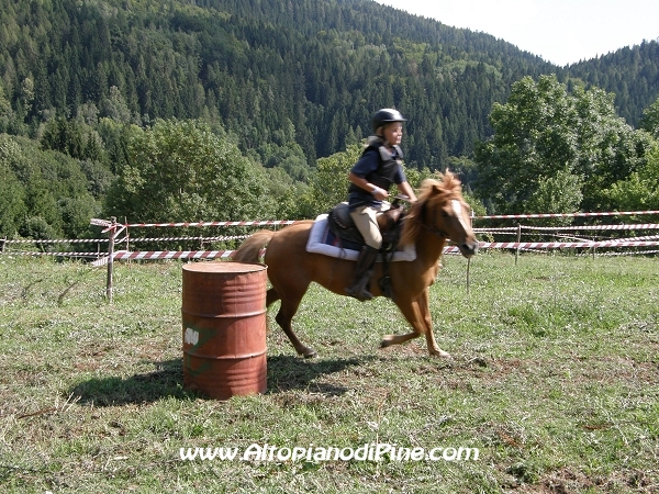 Faida a Cavallo 2010