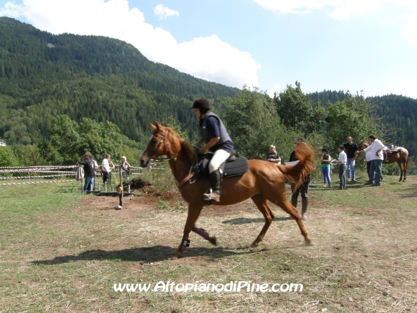 Faida a Cavallo 2010
