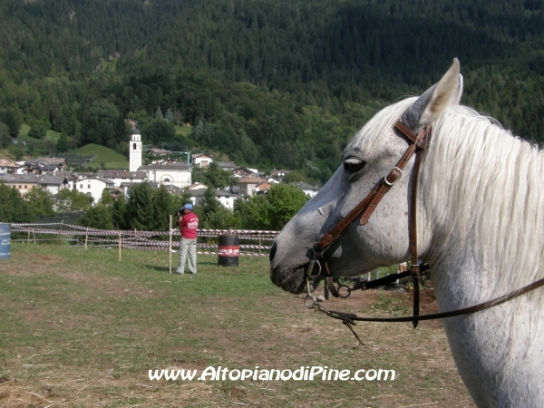 Faida a Cavallo 2010