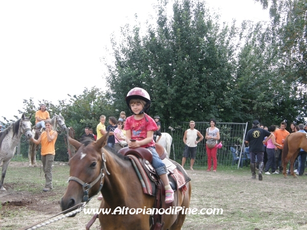 Faida a Cavallo 2010