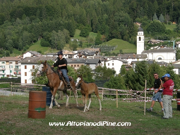 Faida a Cavallo 2010