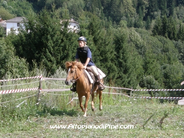 Faida a Cavallo 2010