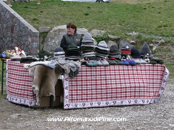 4 esposizione Capra Pezzata Mochena - Fierozzo 2010