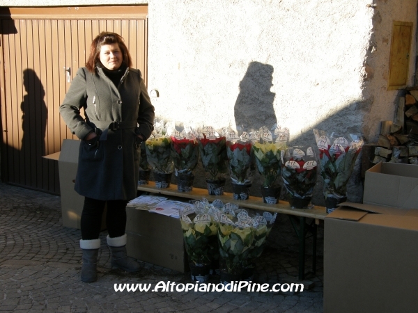Mercatino di Natale di Piné 2010 - El paes dei Presepi 2010