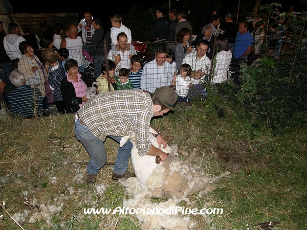 Tosatura delle pecore - Antichi Mestieri ai Fregoloti - Montagnaga Baselga di Piné  2010