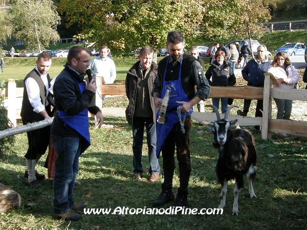 5°  esposizione Capra Pezzata Mochena - Centrale di Bedollo 2011