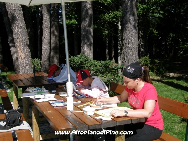 37 Concorso di Pittura all'Aperto - Baita Alpina di Bedollo - luglio 2011