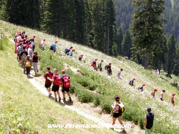 Il rientro verso Brusago - Il rientro verso Brusago - Escursione Rifugio Tonini - 12 campeggio allievi Vigili del Fuoco Volontari 2012