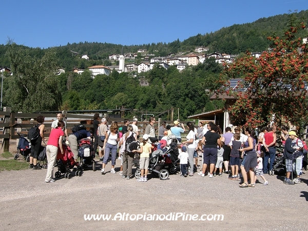 Gi'Oca Piné 2012
