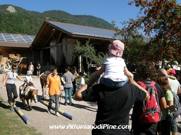 Gi'Oca Piné 2012