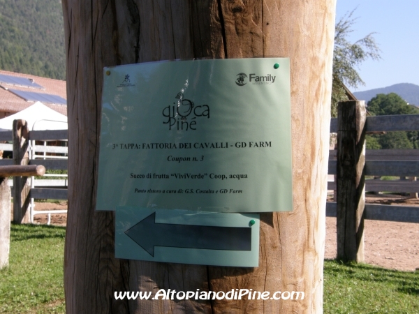 Gi'Oca Piné 2012
