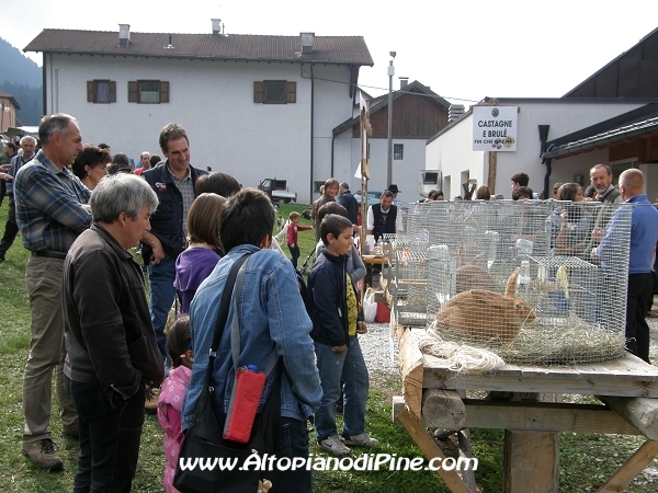 6°  esposizione Capra Pezzata Mochena - Centrale di Bedollo 2012