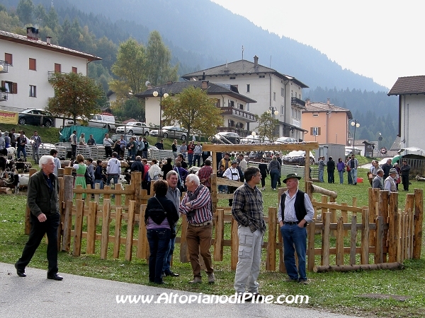6°  esposizione Capra Pezzata Mochena - Centrale di Bedollo 2012