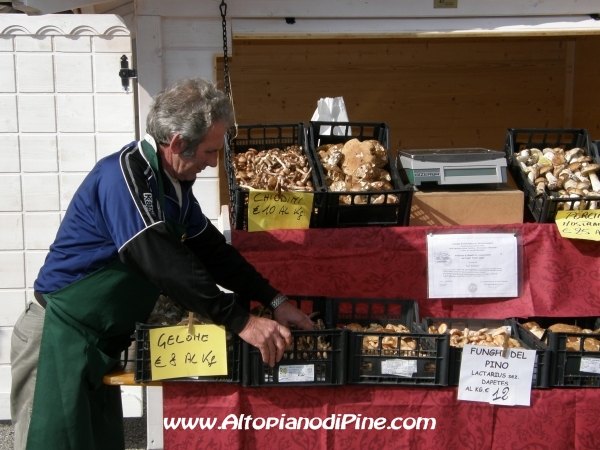 6°  esposizione Capra Pezzata Mochena - Centrale di Bedollo 2012