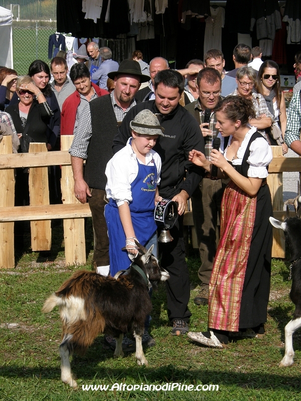 6°  esposizione Capra Pezzata Mochena - Centrale di Bedollo 2012