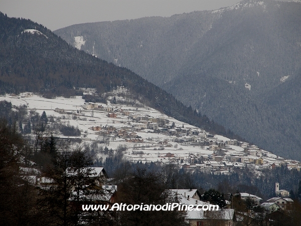 Bedollo - febbraio 2012
