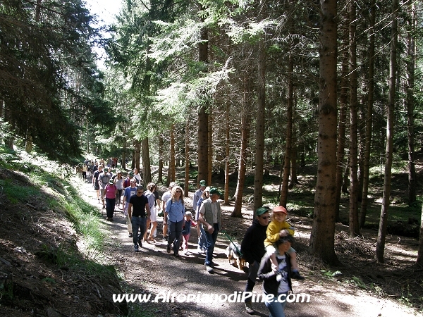 Camminando Insieme 2012