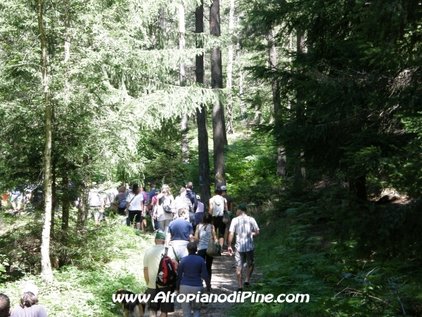 Camminando Insieme 2012 