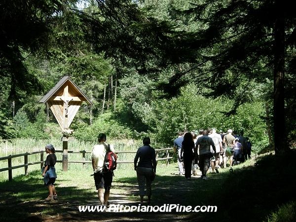 Camminando Insieme 2012 border=
