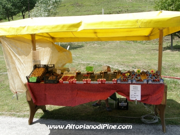 Dragon Festival 2012 - Baselga di Pine'