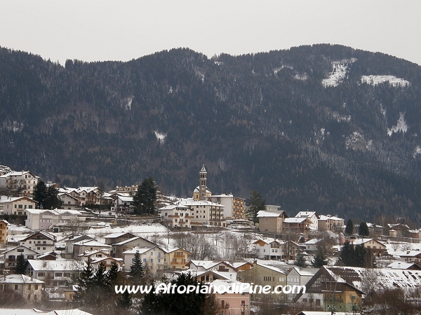 Miola - febbraio 2012