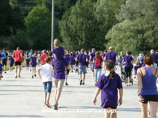 Tut Piné 2012