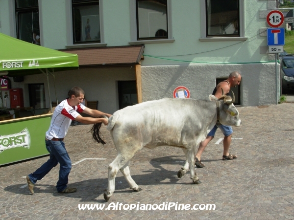 Sagra dei Malgari 2012