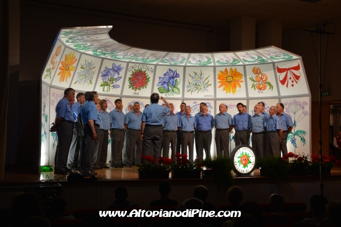 Coro Abete Rosso