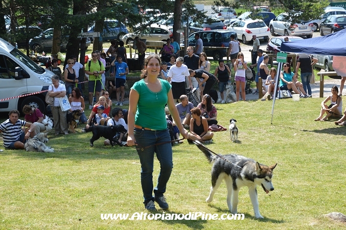 Bau bauuu... che coda - sfilata a 4 zampe 2013
