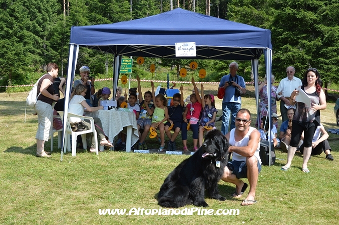 Bau bauuu... che coda - sfilata a 4 zampe 2013
