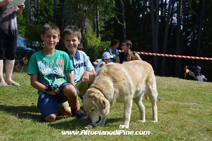 Bau bauuu... che coda - sfilata a 4 zampe 2013