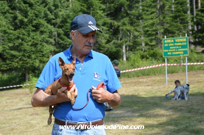 Bau bauuu... che coda - sfilata a 4 zampe 2013