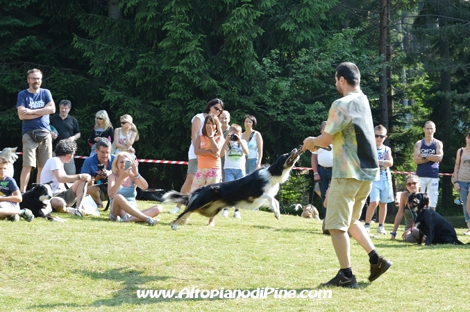 Bau bauuu... che coda - sfilata a 4 zampe 2013
