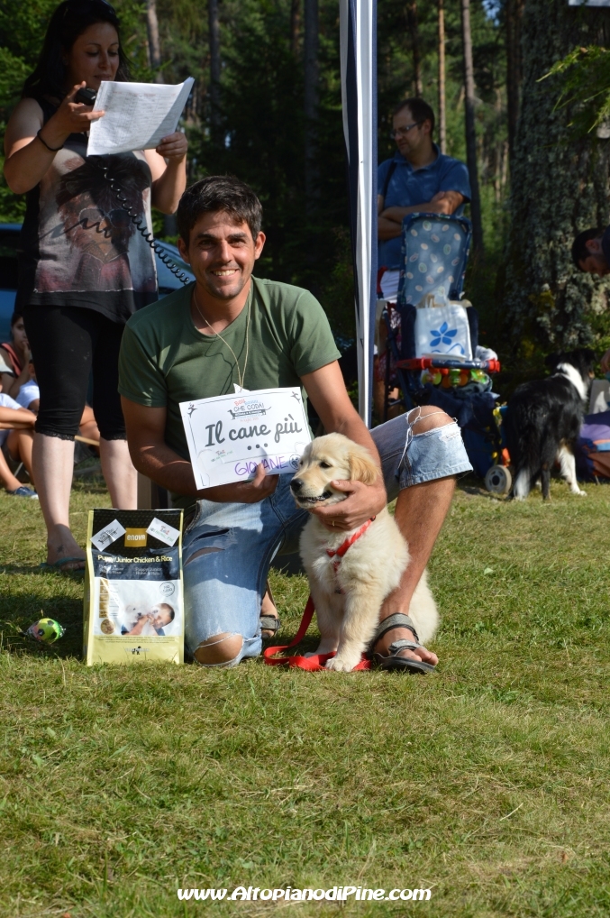 Bau bauuu... che coda - sfilata a 4 zampe 2013