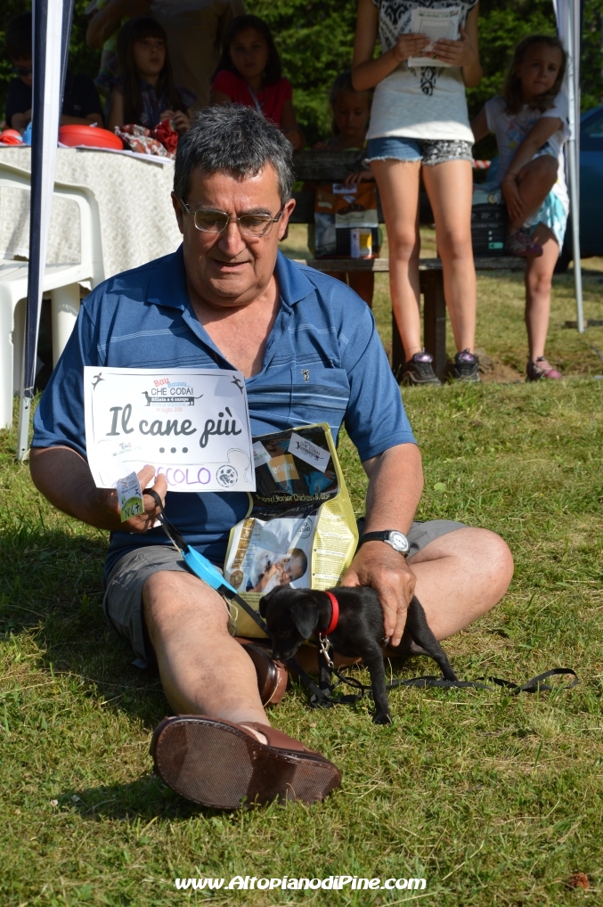 Bau bauuu... che coda - sfilata a 4 zampe 2013 border=