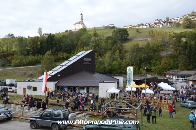7°  esposizione Capra Pezzata Mochena - Centrale di Bedollo 2013