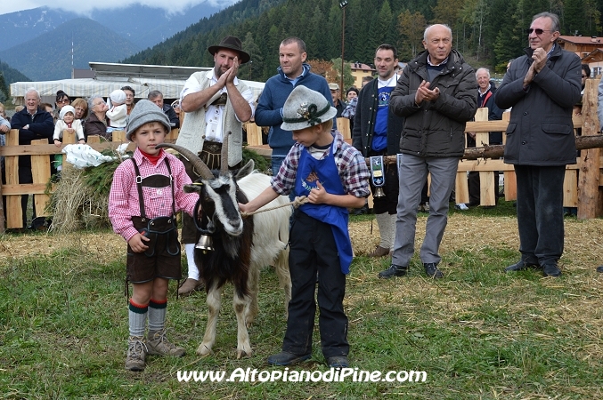 7°  esposizione Capra Pezzata Mochena - Centrale di Bedollo 2013
