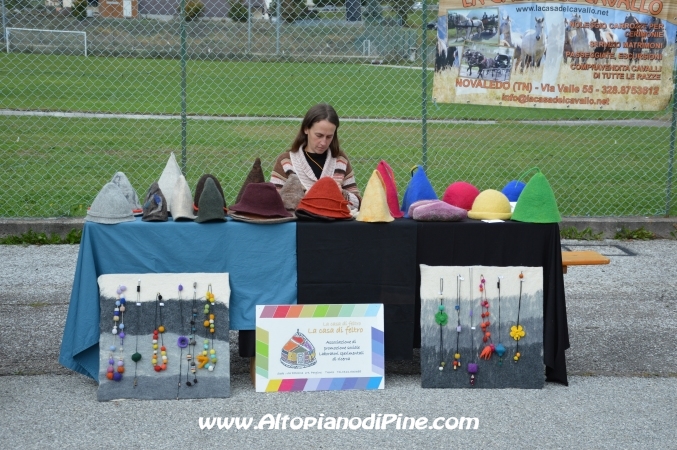 7°  esposizione Capra Pezzata Mochena - Centrale di Bedollo 2013