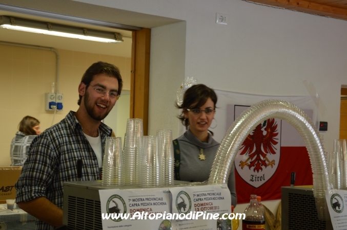 7°  esposizione Capra Pezzata Mochena - Centrale di Bedollo 2013