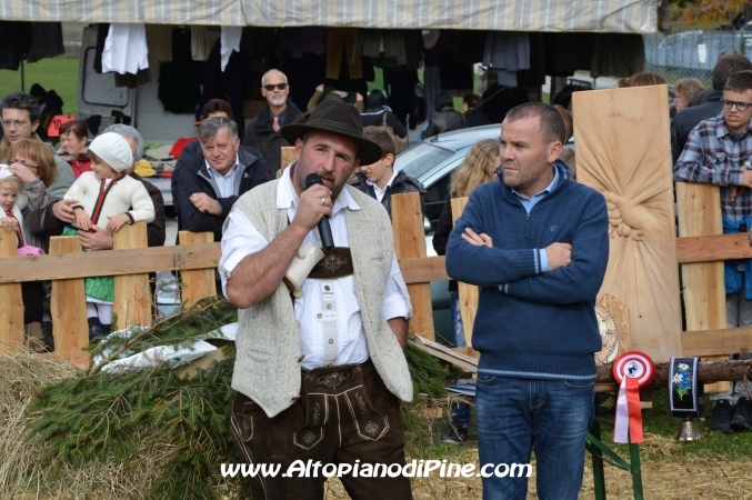 7°  esposizione Capra Pezzata Mochena - Centrale di Bedollo 2013