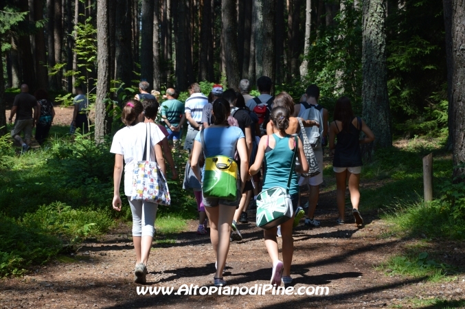 Camminando Insieme 2013 