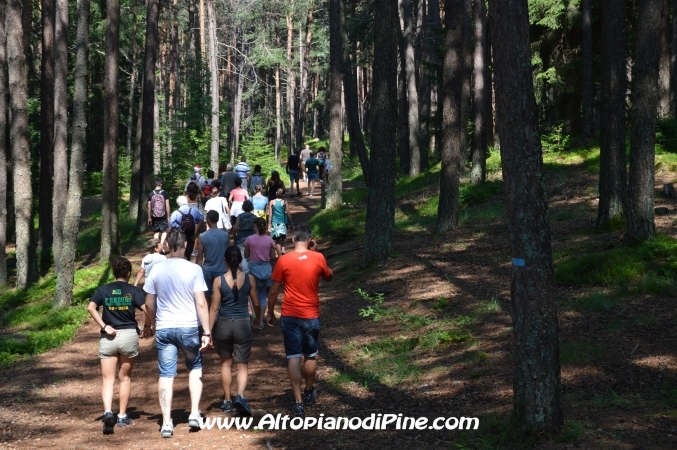 Camminando Insieme 2013